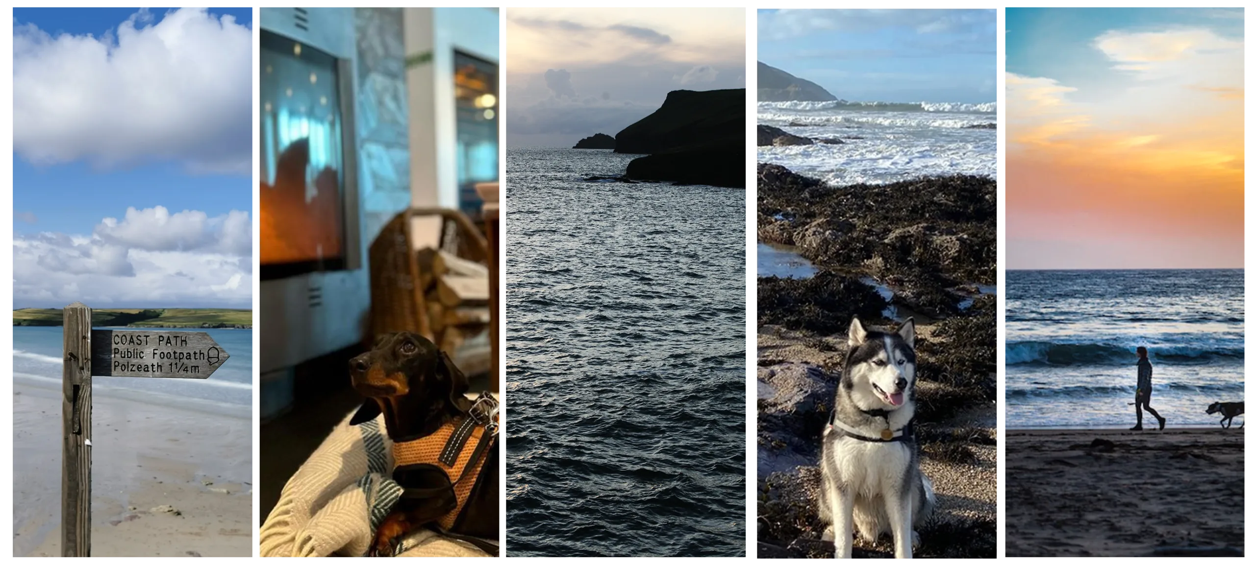 The Best Dog Friendly Beaches & Walks Near St Moritz Hotel, Cornwall 2 dog friendly beaches cornwall