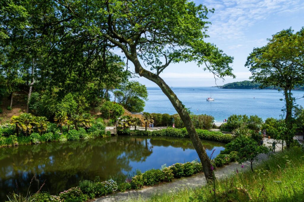 trebah opening times e1751619715872